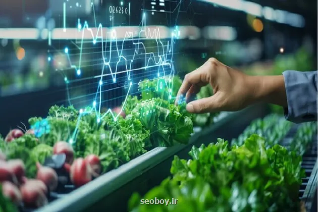 جزئیات فاز اول سكوی هوش مصنوعی وزارت جهاد كشاورزی  ورود هوش مصنوعی به اتاق تصمیم وزارت جهادکشاورزی از تحلیل قوانین تا پایش نیروی انسانی