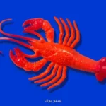 خرچنگ دریایی هوش مصنوعی آنقدرها هم هیجان انگیز نیست!